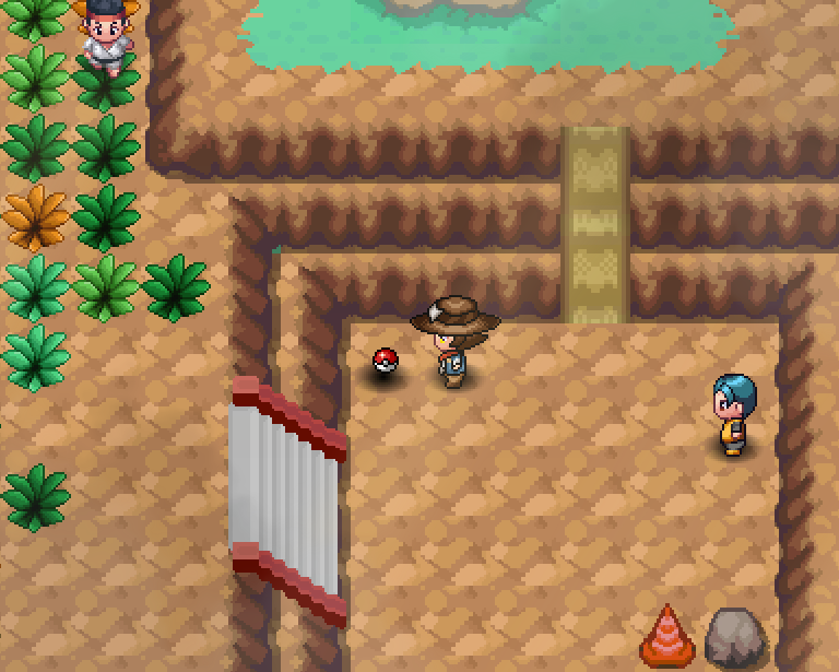 An item ball on the ground on Route 207, with the player standing next to it